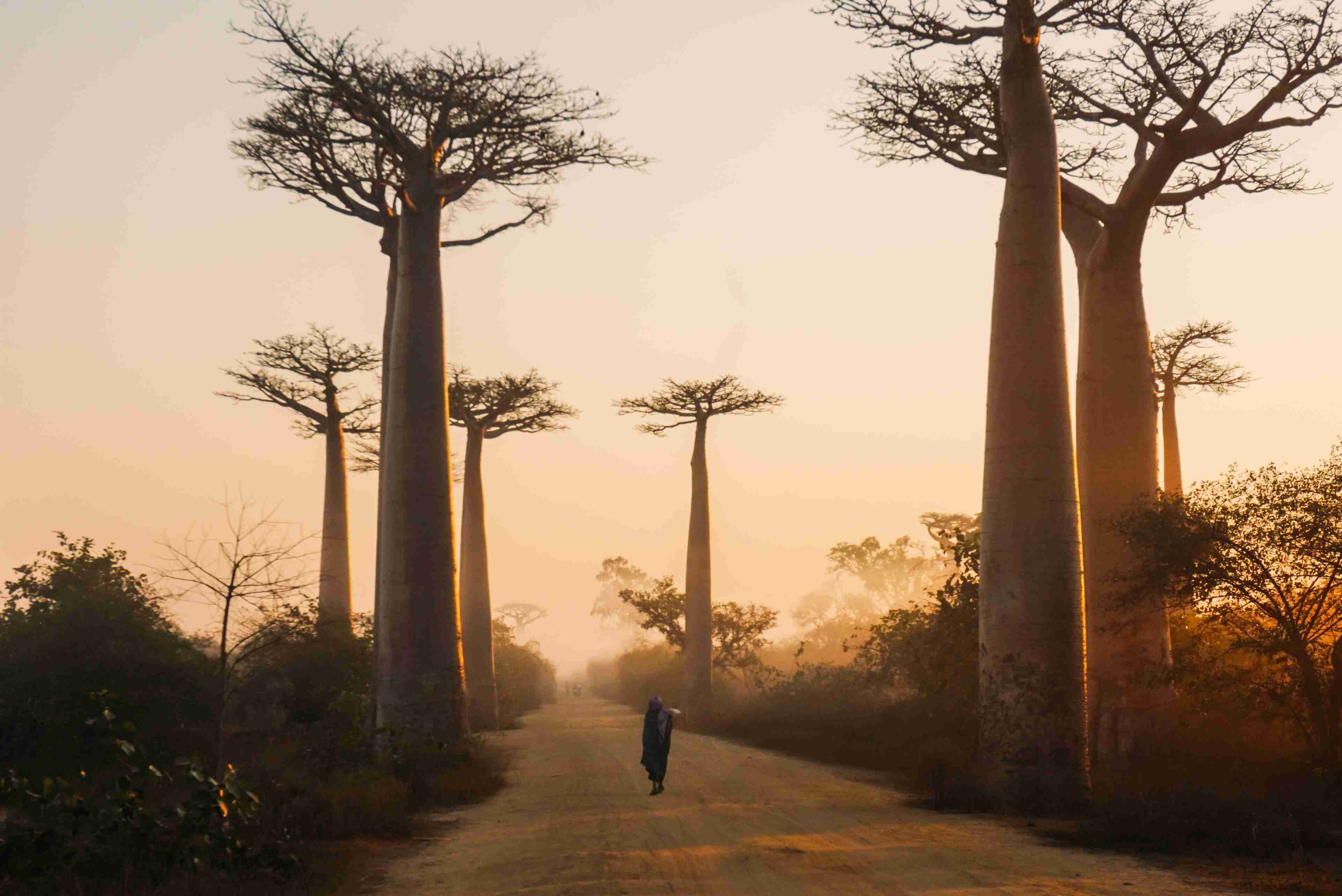 Madagascar Driving Guide