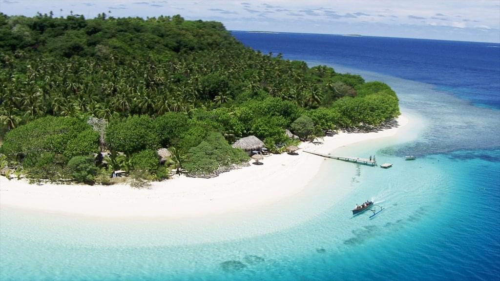 Tonga Driving Guide
